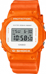 DW-5600WS-4